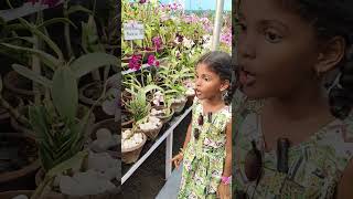 Exploring Flower ShowpookalpookumtharunamChennaimusic song tamilsong love Mosi alaparaigal [upl. by Bow]