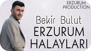 Bekir Bulut Halay  Bizim EvdeYanakları KırmızıCamışları Vurdum  Erzurum Production ® 2022 [upl. by Derrik]