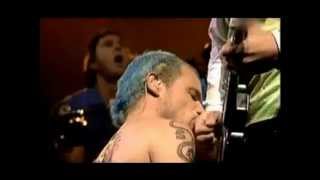 red hot chili peppers cabron sep 29 2002 mexico rare [upl. by Gnohp]