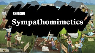 Sympathomimetics Exploring Functions and Effects Part 1  Sketchy Medical  USMLE Step 1 [upl. by Ajram]