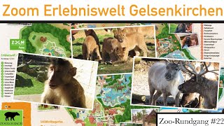 Zoom Erlebniswelt Gelsenkirchen 2022  ZooRundgang 22 [upl. by Akiemaj232]