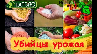 ШОКИРУЮЩАЯ ПРАВДА о МИНЕРАЛЬНЫХ УДОБРЕНИЯХ Это надо знать КАЖДОМУ ОГОРОДНИКУ Берегите землю [upl. by Adliw]