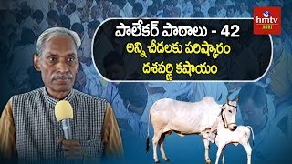 అన్ని చీడలకు పరిష్కారం దశపర్ణి కషాయం Subhash Palekar Lessons 42  hmtv Agri [upl. by Tocs]