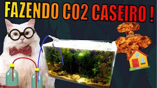 🔴 COMO FAZER CO2 CASEIRO PARA AQUÁRIOS PLANTADOS  BARATO E FÁCIL  Mr Betta [upl. by Meehyr]