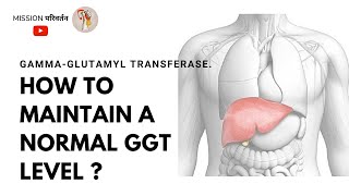 How to get rid of High GGT level  Natural ways to decrease the GGT [upl. by Gladdy553]