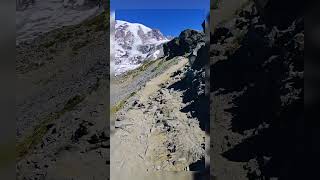 Mount Rainier Skyline Loop Hike [upl. by Haydon]