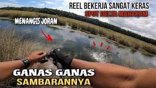 REEL DAN JORAN MENJERIT‼️CASTING IKAN GABUS  SHIMANO SLX DC [upl. by Dyrraj]