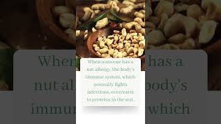 Nut Allergy Everything You Need To Know peanut allergynut allergy peanut allergy symptoms shorts [upl. by Avin]