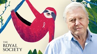 Why is biodiversity important  with Sir David Attenborough  The Royal Society [upl. by Belsky]