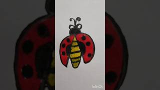 Easy drawing ladybird 🐞drawingideas youtubeshorts [upl. by Alister]