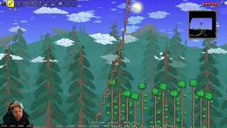 Terraria  100 Trophy Gameplay PS4 Part 3 [upl. by Ojok]