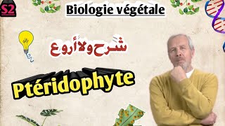 Biologie végétale en Arabe les Ptéridophytes en Arabe SVI S2 [upl. by Hasan]