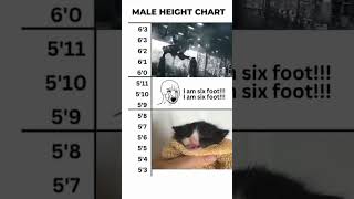 Male height charts aura funny trolledit internetmeme memes trollfaceedit meme shorts [upl. by Stig]