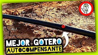 Como Instalar RIEGO por GOTEO en Frutales CÍTRICOS Gotero Autocompensante KATIF by mixim89 [upl. by Rehpretsirhc]