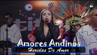 Amores Andinos  Heridas De Amor [upl. by Auka532]