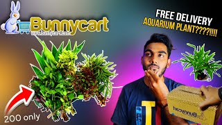 How to Buy Aquarium Plants Online  Bunnycartcom  Online Aquarium Plants  Underwater Plants [upl. by Roswell]