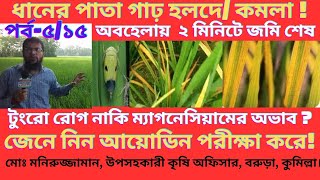 আউশ ও আমন মৌসুমে ধানের প্রধান রোগ টুংরো ভাইরাস দমনে 4G সমাধান ।। How To Control Rice Tungro Disease [upl. by Dnalon]