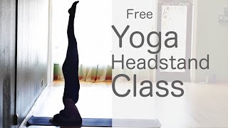 50 Minute Yoga Flow Vinyasa How to do a headstand  Fightmaster Yoga Videos [upl. by Quinlan]