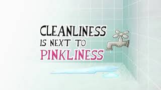 Cleanliness is Next to Pinkliness  Pink Panther and Pals [upl. by Azal322]