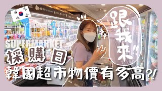 韓國超市物價和香港差多遠女生每月用的M巾比香港貴終於吃到期待已久的手抓餅 한국 마트 물가 含少部份合作內容 [upl. by Howes356]