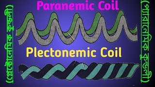 Paranemic Coiling and Plectonemic Coiling of Chromatin or DNA [upl. by Colvert]