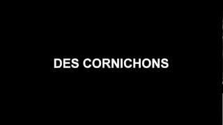 french project les cornichons lyrics video [upl. by Notned]