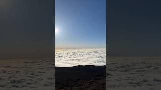 Haleakala National Park 🤙🏼 maui hawaii volcano nature shorts viral video short fyp fypシ [upl. by Yeslaehc]