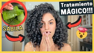 🤩Tratamiento de SÁBILA ALOE VERA🌵 MUY FÁCIL y EFECTIVO para un Cabello Rizado SALUDABLE y HERMOSO😍 [upl. by Arua]