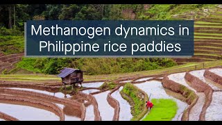 Multiomics analysis of the methanogenic microbiome in Philippine rice field soil [upl. by Prud]