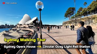 Sydney Walking Tour  Walking from Sydney Opera House to Circular Quay Light Rail Station Australia [upl. by Marie-Jeanne39]