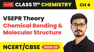 VSEPR Theory  Chemical Bonding and Molecular Structure  Class 11 Chemistry Chapter 4  CBSE live [upl. by Hylan]