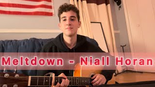 Meltdown  Niall Horan Guitar Cover [upl. by Tooley]