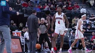 2022 NBA Draft Reel Arizonas Dalen Terry [upl. by Sila]