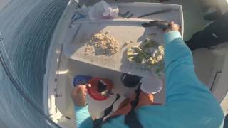 Bottum fishing commercial pinhooking porgies and black sea bass Montauk [upl. by Jacquet]