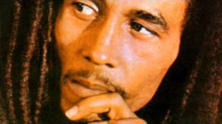 The Life and Career of Bob Marley [upl. by Chretien]