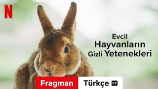 Evcil Hayvanların Gizli Yetenekleri Sezon 1 altyazılı  Türkçe fragman  Netflix [upl. by Zared634]