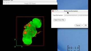 ImageJ 3D viewer demo part 2 [upl. by Hairam]