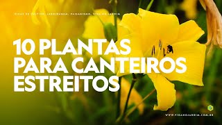 10 PLANTAS para CANTEIROS ESTREITOS [upl. by Dlawso]