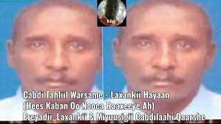 Cabdi Tahliil Warsame  Laxankii Hayaan Hees Kaban [upl. by Dever778]