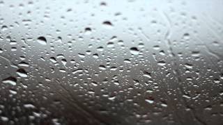 Rainy Day Background Video  No Sound [upl. by Ogden]