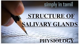 Structure of salivary glands and duct system Explanation in Tamil Sukumiii [upl. by Manly798]