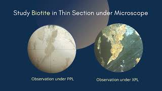 Biotite thin section under microscope  Pleochroic  Optical Mineralogy Geology Earth Science [upl. by Suiradel]