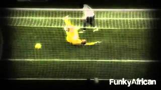 Samir Nasri Top 10 Goals [upl. by Coben]