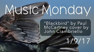 quotBlackbirdquot by Paul McCartney Covered by John Ciambriello [upl. by Bjork]