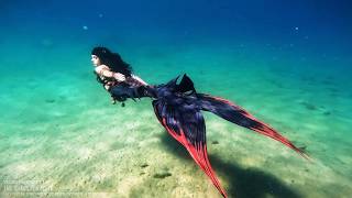 MERMAID SHADOW HUNTS FOR TREASURE Swimming Underwater in my New Braveeer Silicone Mermaid Tail [upl. by Gorrono891]