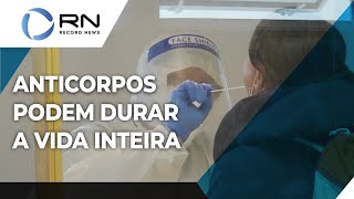 Anticorpos contra a covid19 podem durar a vida inteira [upl. by Irotal]