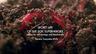 Secret life of the soil superheroes [upl. by Namien886]