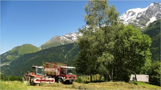 Les foins en montagne aux Contamines Montjoie GAEC Sabotdance ©Jacquemoud Charly [upl. by Leunamnauj376]