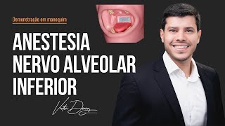 Anestesia do nervo alveolar inferior  demonstração em manequim [upl. by Franny]