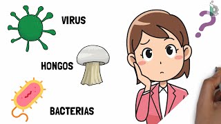 Diferencias entre virus ☣ bacterias 🦠y hongos 🍄 Video animado y con ejemplos [upl. by Berrie]